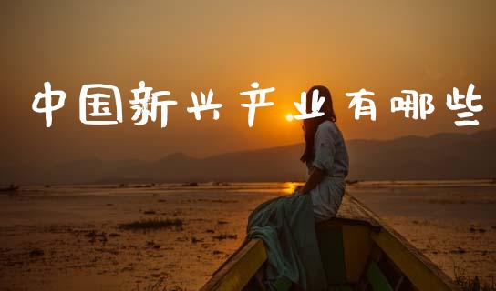 中国新兴产业有哪些_https://wap.letulww.com_投资策略_第1张