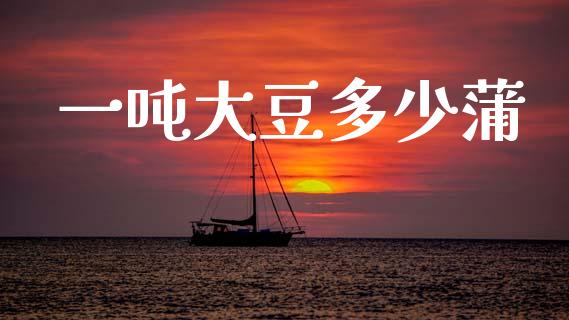 一吨大豆多少蒲_https://wap.letulww.com_外汇交易_第1张