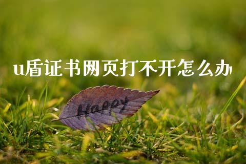 u盾证书网页打不开怎么办_https://wap.letulww.com_投资管理_第1张