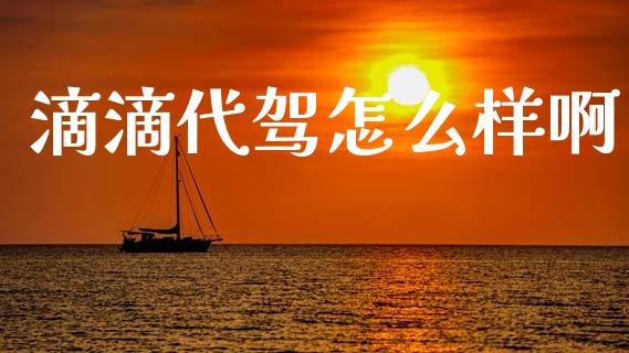 滴滴代驾怎么样啊_https://wap.letulww.com_外汇交易_第1张