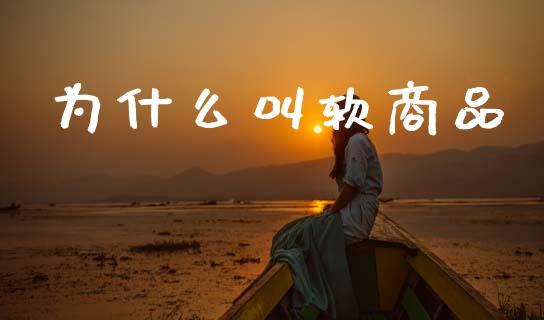 为什么叫软商品_https://wap.letulww.com_融资租赁_第1张