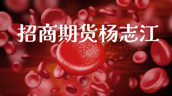 招商期货杨志江_https://wap.letulww.com_外汇交易_第1张