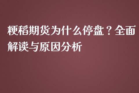 粳稻期货为什么停盘？全面解读与原因分析_https://wap.letulww.com_投资策略_第1张