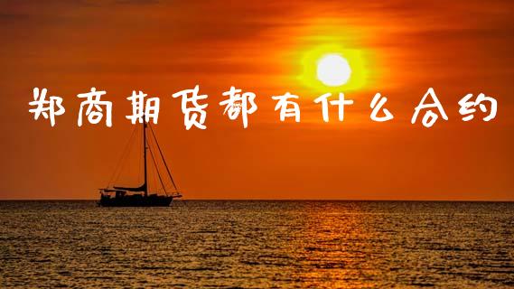郑商期货都有什么合约_https://wap.letulww.com_投资策略_第1张