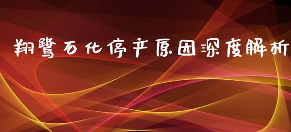 翔鹭石化停产原因深度解析_https://wap.letulww.com_融资租赁_第1张
