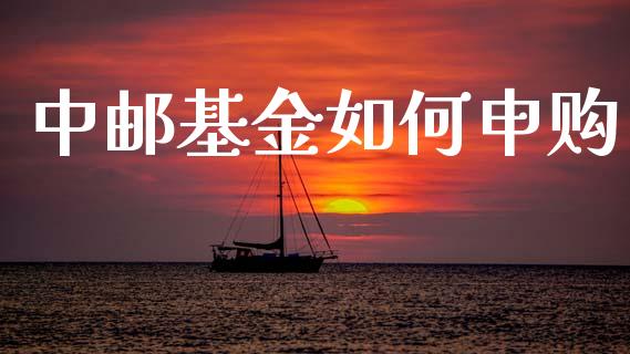 中邮基金如何申购_https://wap.letulww.com_投资策略_第1张