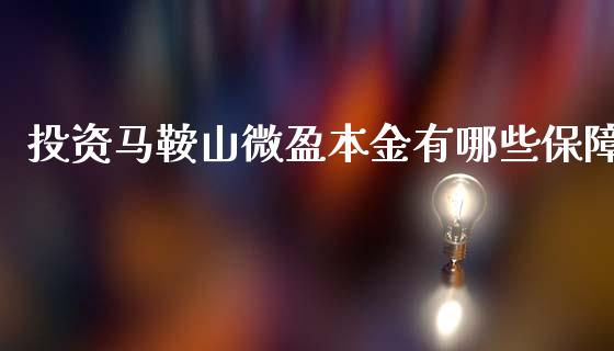 投资马鞍山微盈本金有哪些保障_https://wap.letulww.com_投资管理_第1张