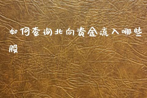 如何查询北向资金流入哪些股_https://wap.letulww.com_融资租赁_第1张