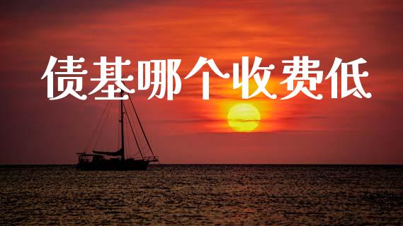 债基哪个收费低_https://wap.letulww.com_外汇交易_第1张