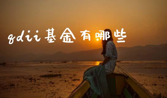 qdii基金有哪些_https://wap.letulww.com_融资租赁_第1张