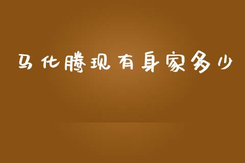 马化腾现有身家多少_融资租赁_第1张_外汇交易_投资策略_融资租赁_投资管理 马化腾现有身家多少_https://wap.letulww.com_融资租赁_第1张