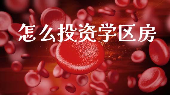 怎么投资学区房_https://wap.letulww.com_融资租赁_第1张