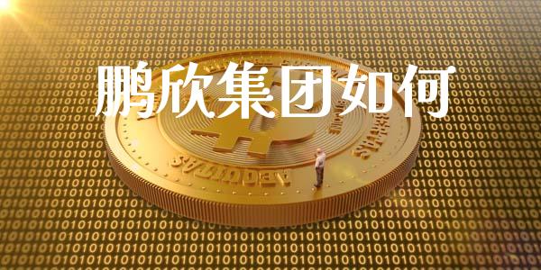 鹏欣集团如何_https://wap.letulww.com_外汇交易_第1张
