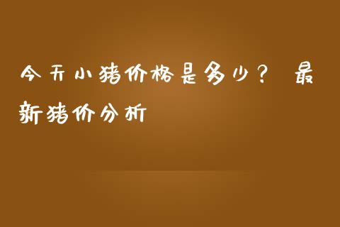 今天小猪价格是多少？ 最新猪价分析_https://wap.letulww.com_投资策略_第1张