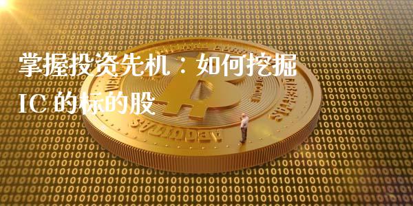 掌握投资先机：如何挖掘 IC 的标的股_https://wap.letulww.com_投资策略_第1张